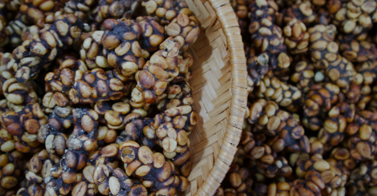 Kopi Luwak khas produk Indonesia