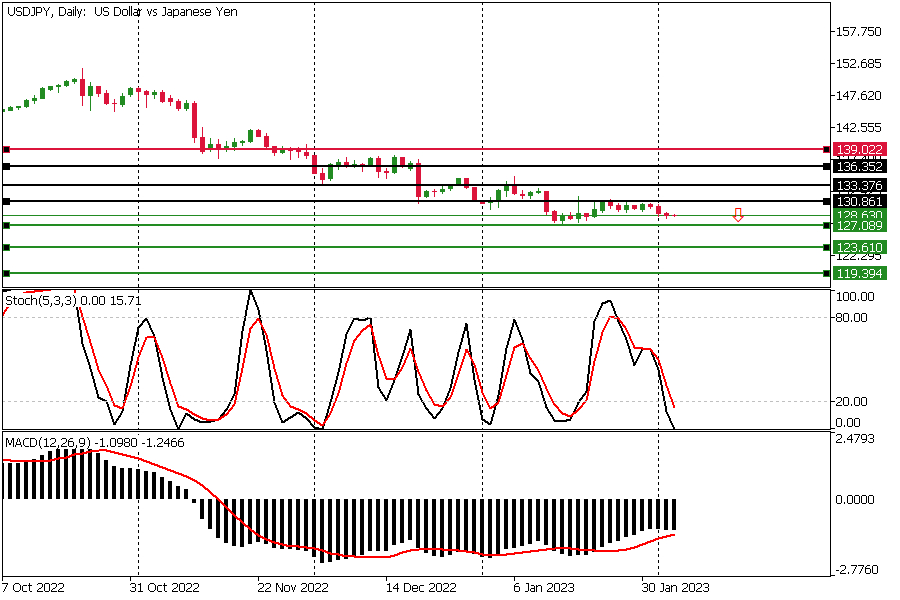 USD JPY Daily - 3 Februari 2023